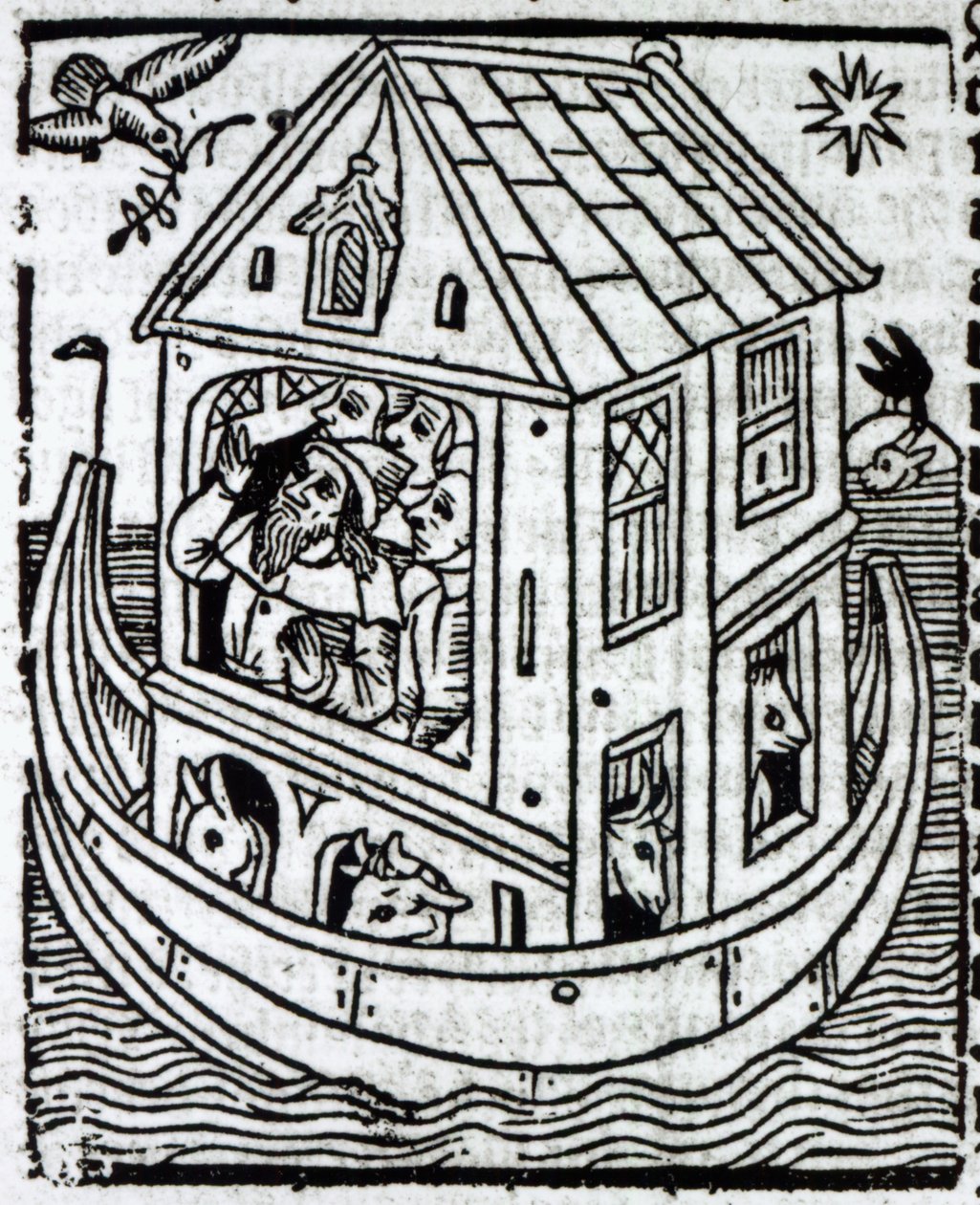 Arca de Noé de English School