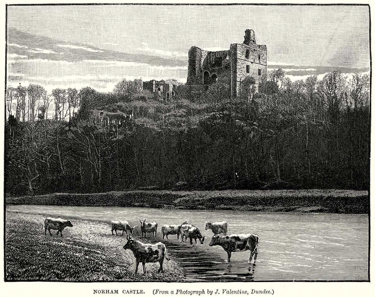 Castelo de Norham (gravura) de English School