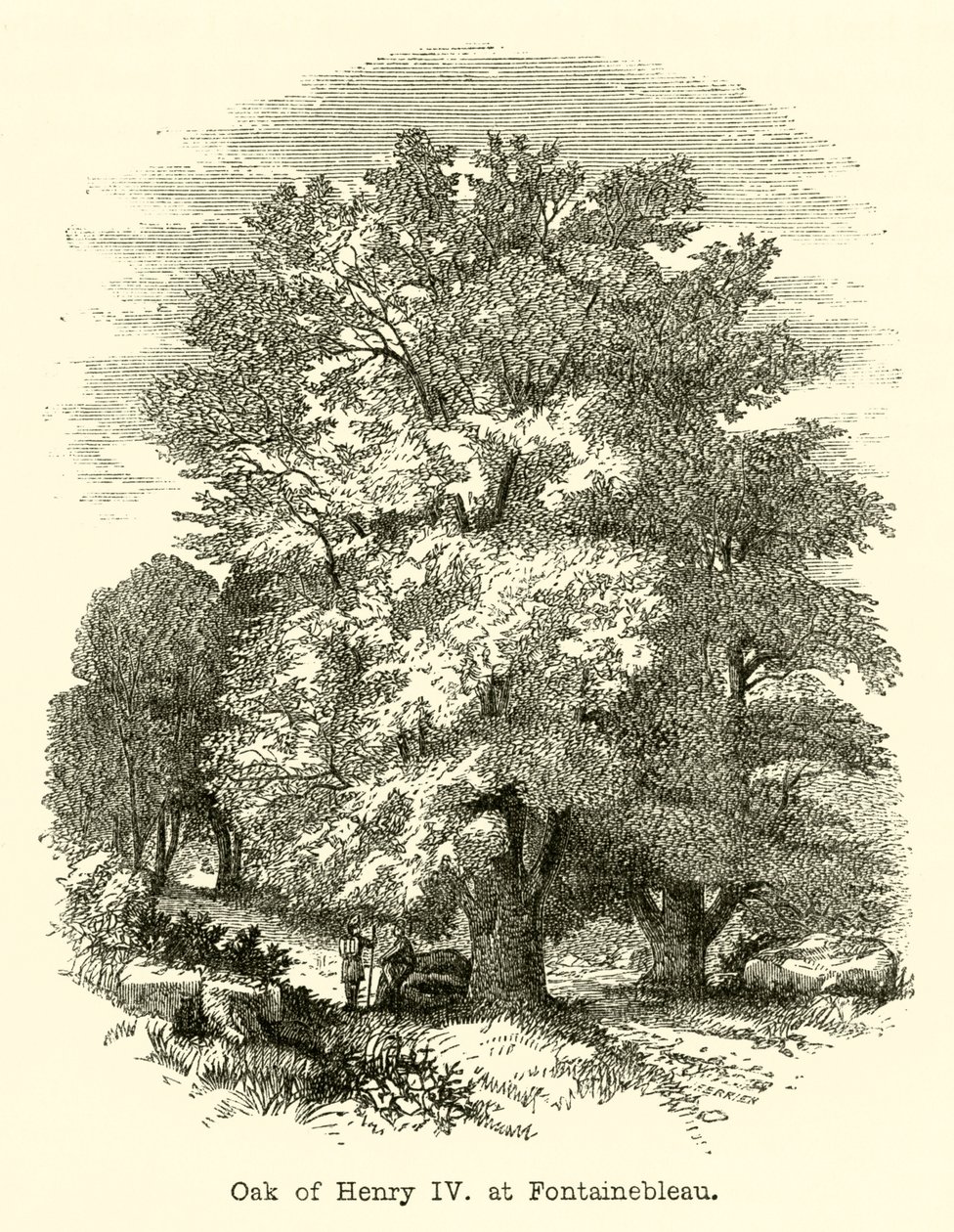 Carvalho de Henrique IV, em Fontainebleau (gravura) de English School