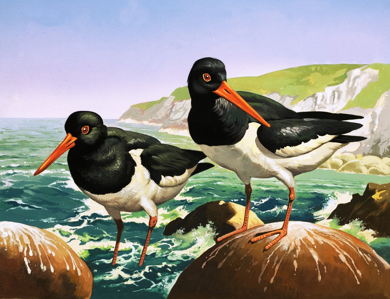 Ostraceiros, ilustração de "Era uma vez" (guache sobre papel) de English School