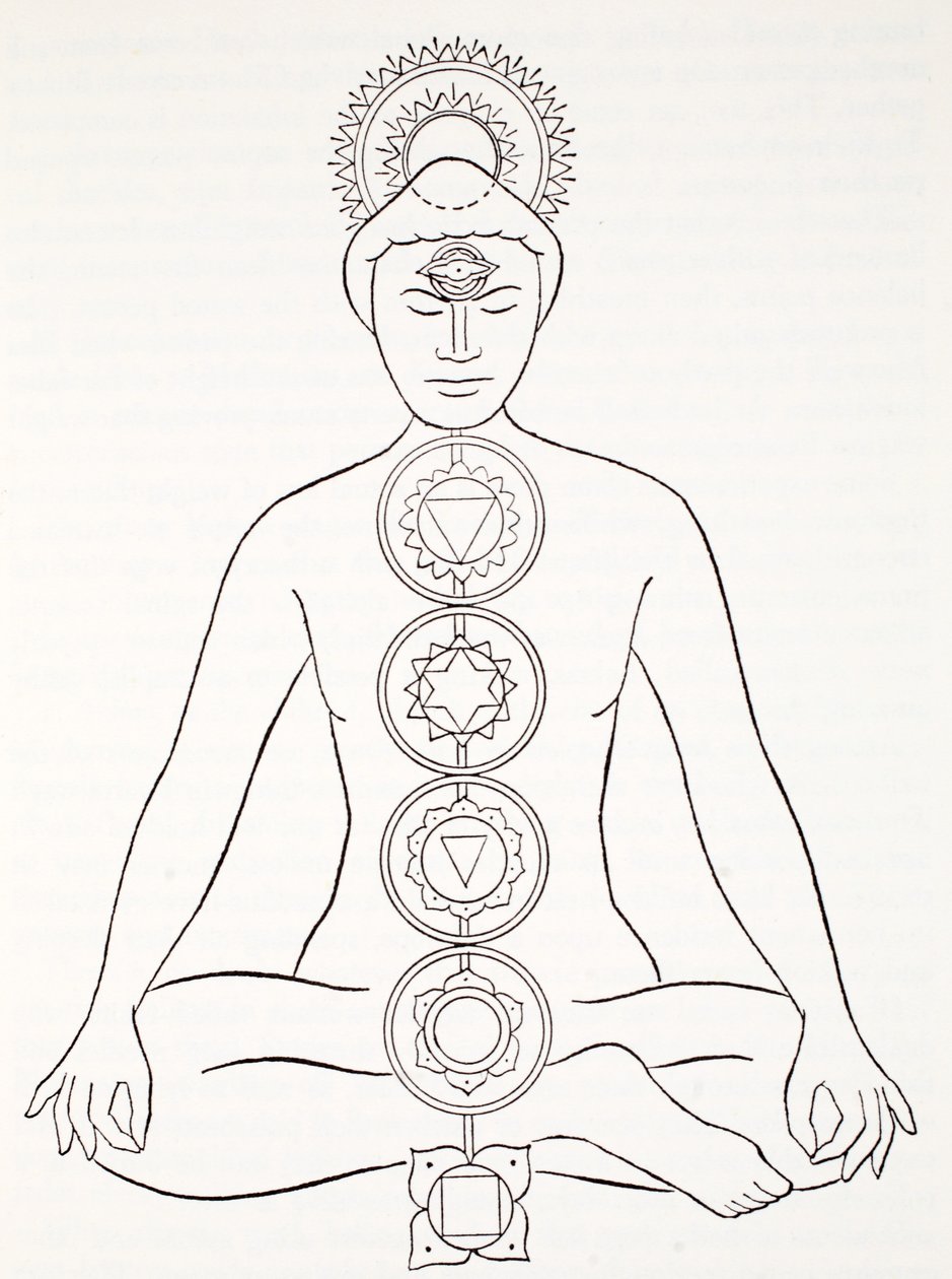 Padmasana ou posição de lótus de English School