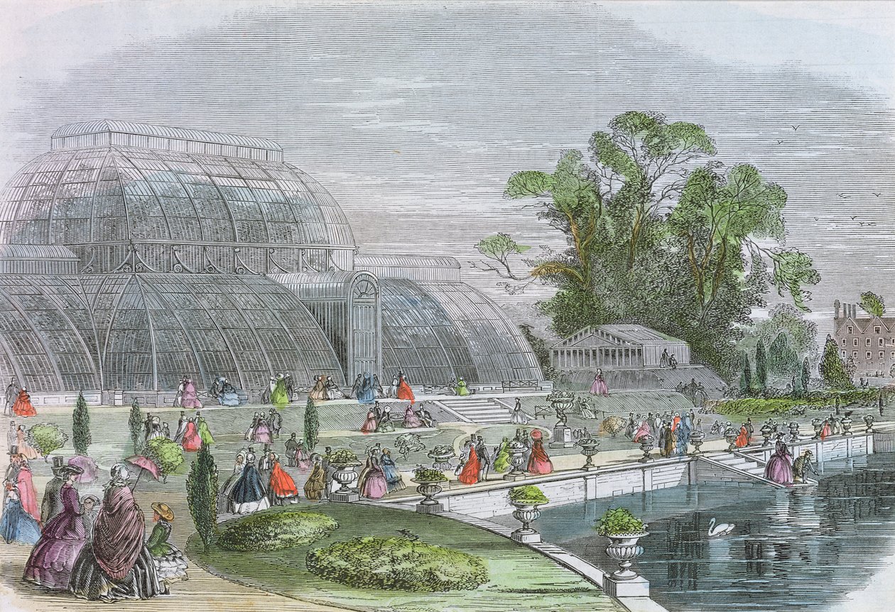 Casa das Palmeiras, Kew (gravura) de English School