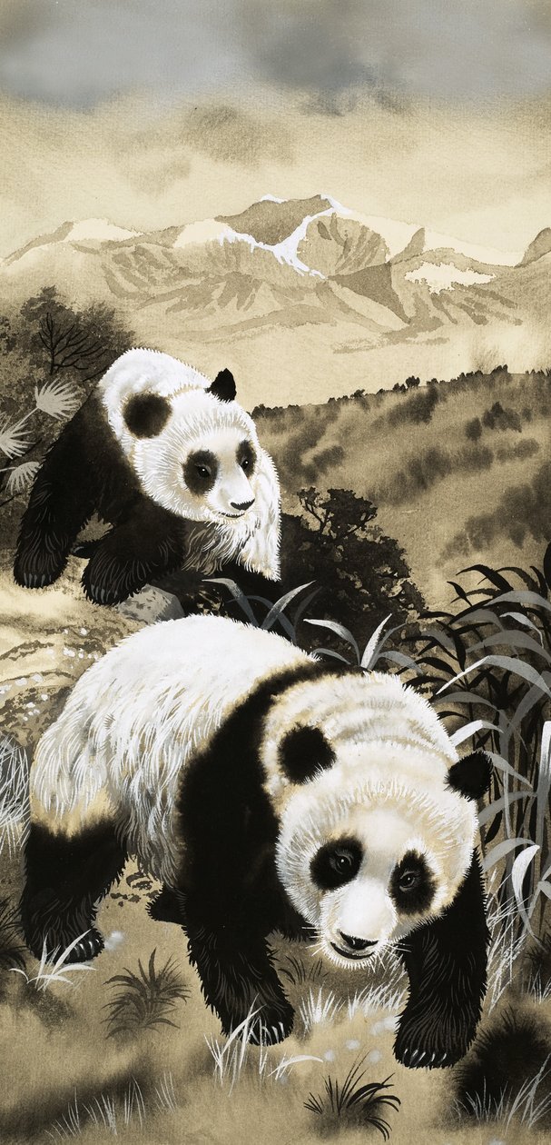 Pandas de English School