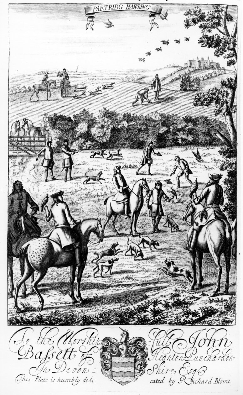 Partridge Hawking, de &39;The Gentleman&39;s Recreation&39; publicado por Richard Blome, 1686 de English School