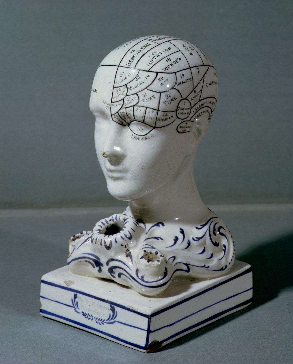 Cabeça frenológica pelo Dr. Frederick Bridges (porcelana) de English School