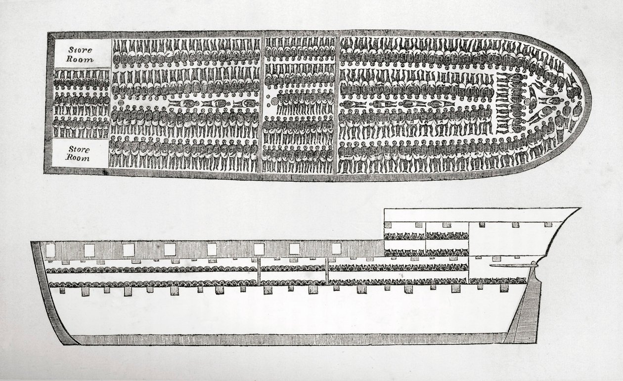Plano mostrando como os escravos eram transportados a bordo de um navio negreiro na gravura do século XVIII. de English School