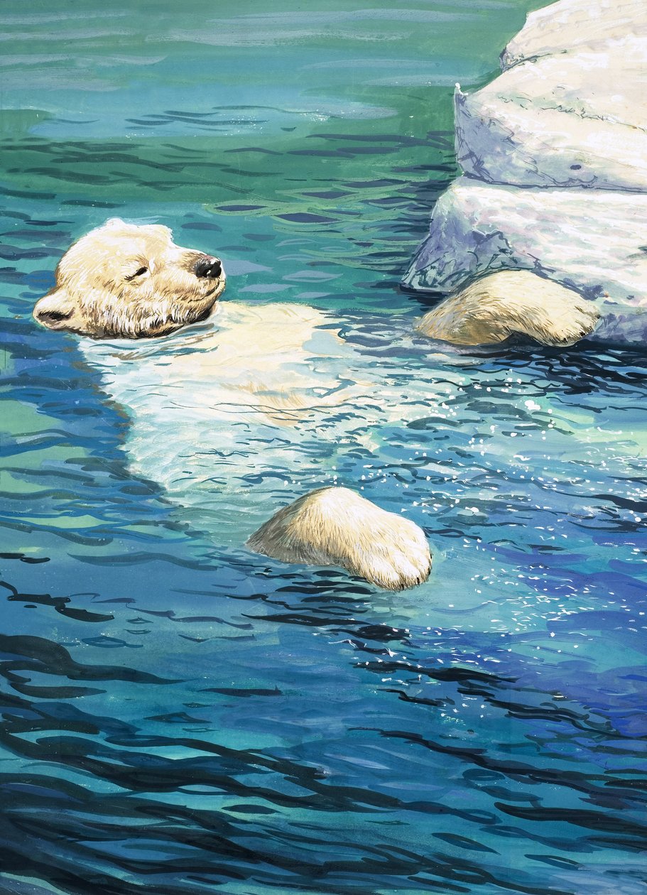 Urso polar brincalhão, ilustração de "O país das maravilhas da natureza de English School