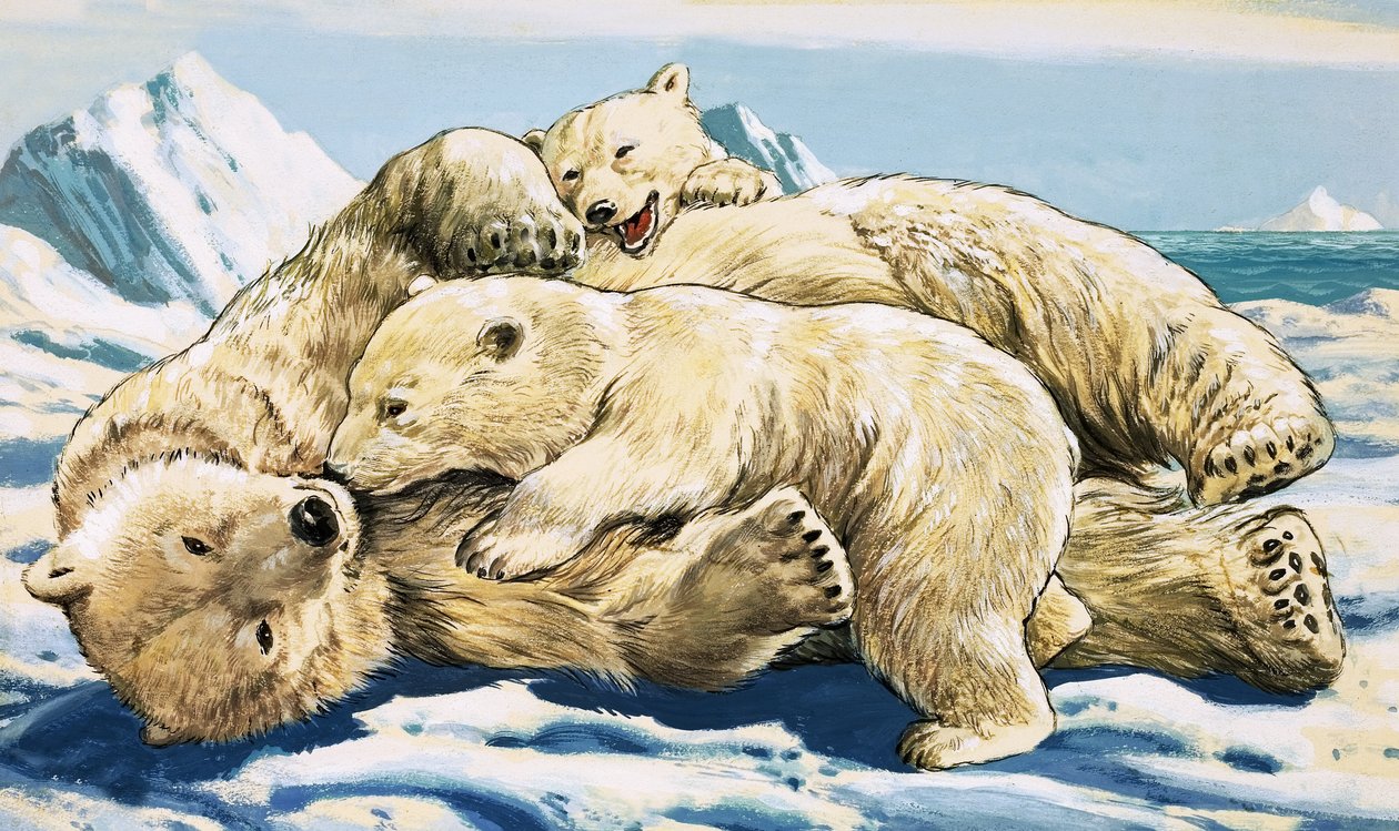 Urso polar e filhotes (guache sobre papel) de English School
