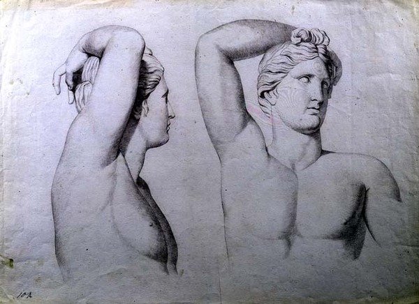 Retrato Bustos de Nus, c.1780 (giz sobre papel) de English School