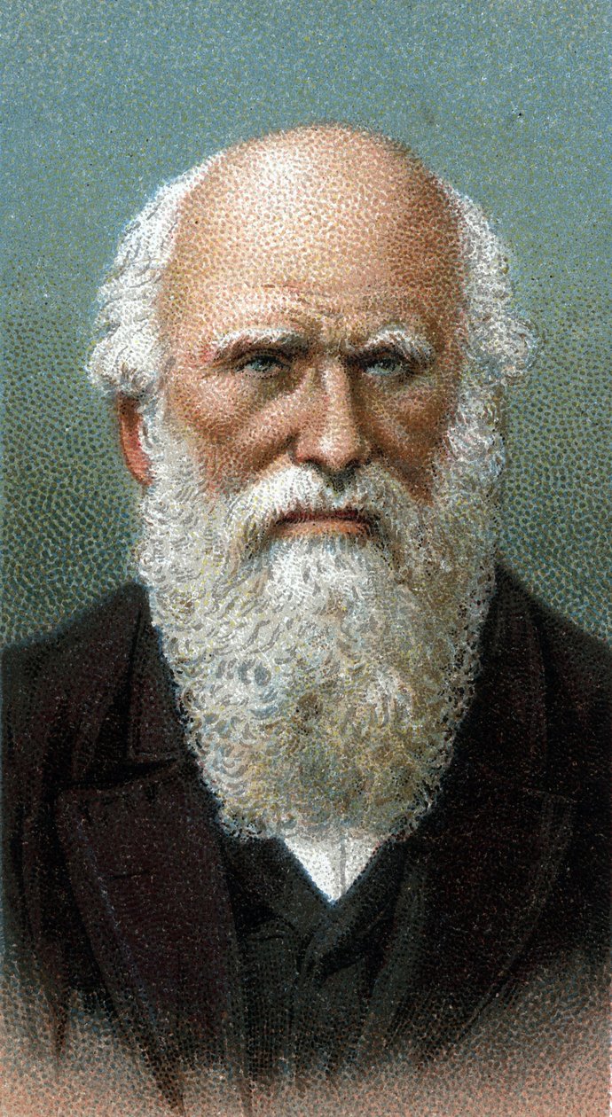 Retrato de Charles Robert Darwin (1809-1882) - Da série "Leaders of Men" - Chromolithography - Escola de Inglês, século XX - de English School