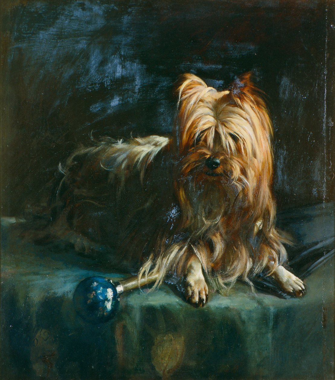 Retrato de Jim; um Yorkshire Terrier de English School