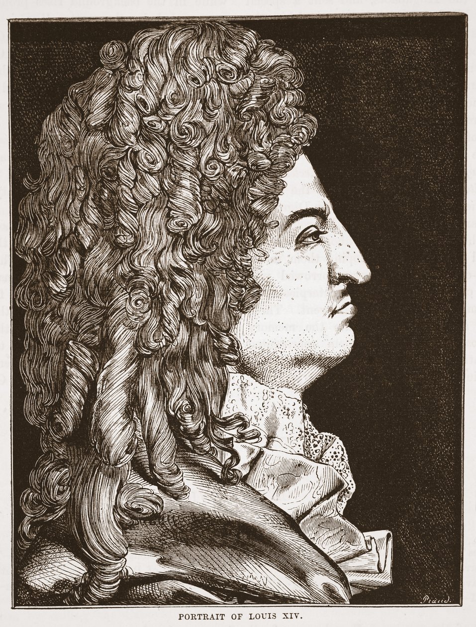 Retrato de Louis XIV de English School
