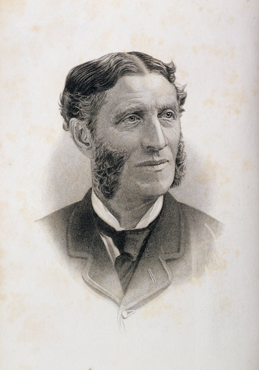 Retrato de Matthew Arnold (1822-88) de English School
