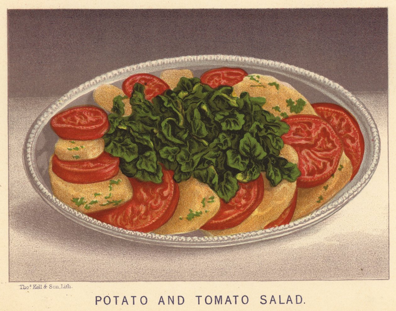 Salada de batata e tomate (litografia a cores) de English School