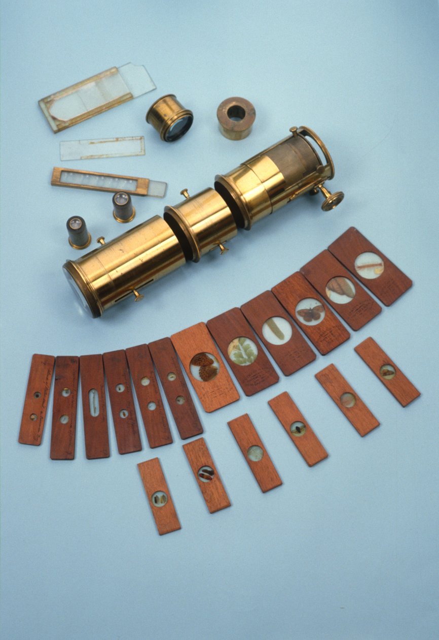 Microscópio de projeção, vendido por Watkins & Hill, Londres, destinado a uso com uma lanterna mágica, juntamente com 18 slides de história natural, c.1870 (latão, vidro e madeira) de English School