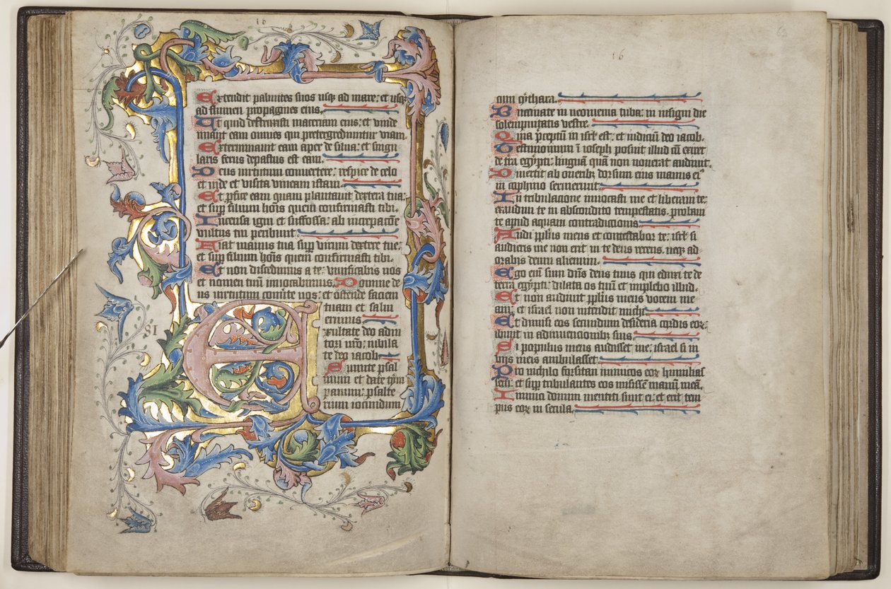 Psalter com calendário de uso Sarum, c.1425-75 (tinta, tinta e ouro sobre velino) de English School