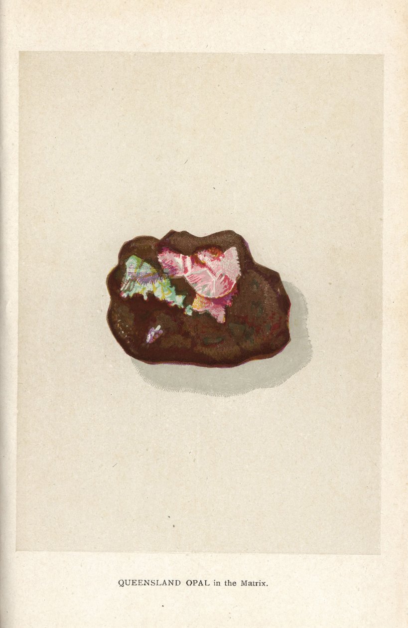 Opala de Queensland na matriz, de "Precious Stones and Gems" de Edwin Streeter, Londres, George Bell & Sons de English School