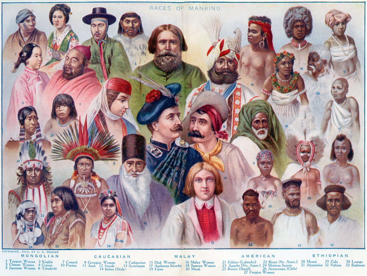 Raças da Humanidade, de The British Empire Universities Modern English Illustrated Dictionary, pub.1914 de English School