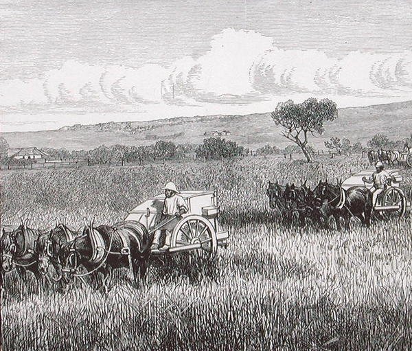 Reaping, Adelaide Sul, Austrália de English School