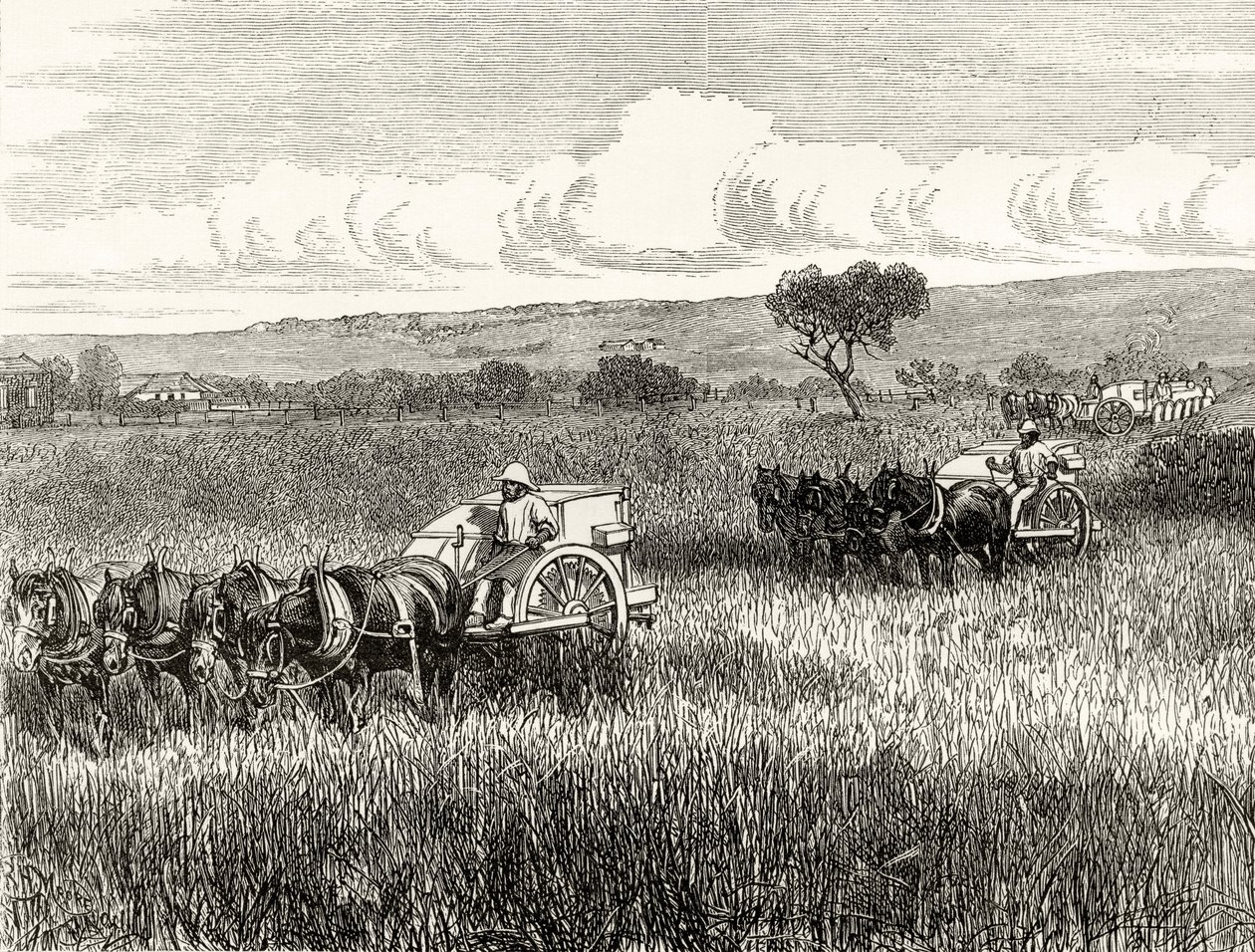 Colher em South Adelaide, c.1880, de &39;Australian Pictures&39;, de Howard Willoughby, publicado pela Religious Tract Society, Londres, 1886 de English School