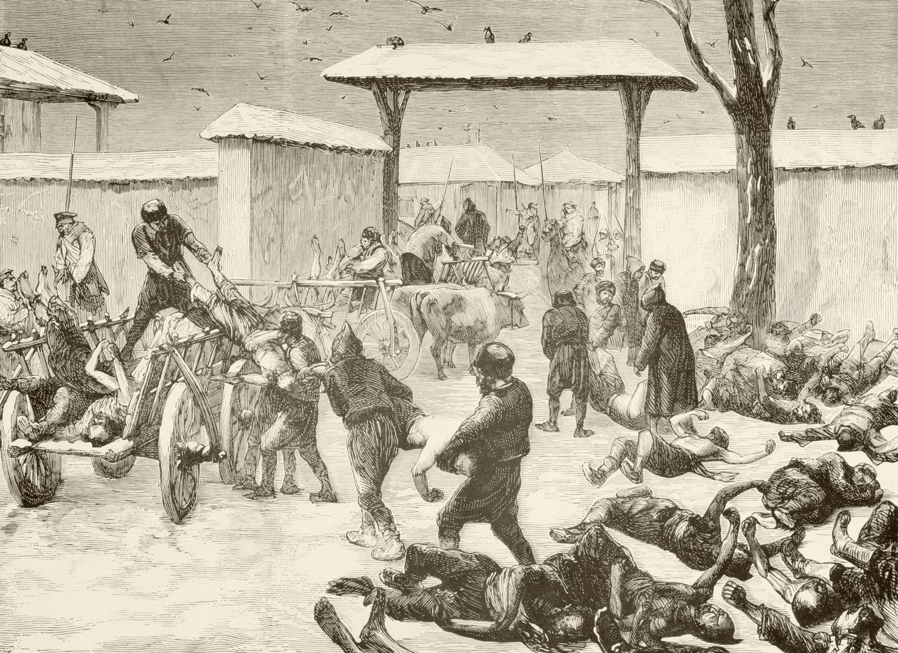 Recuperação dos mortos após o cerco de Plevna, Bulgária, em 1877 (litografia) de English School