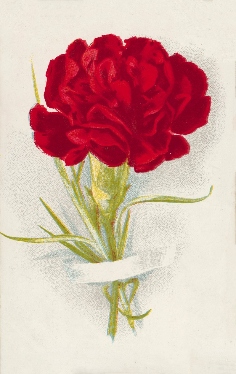 Cravo vermelho (cromolitho) de English School