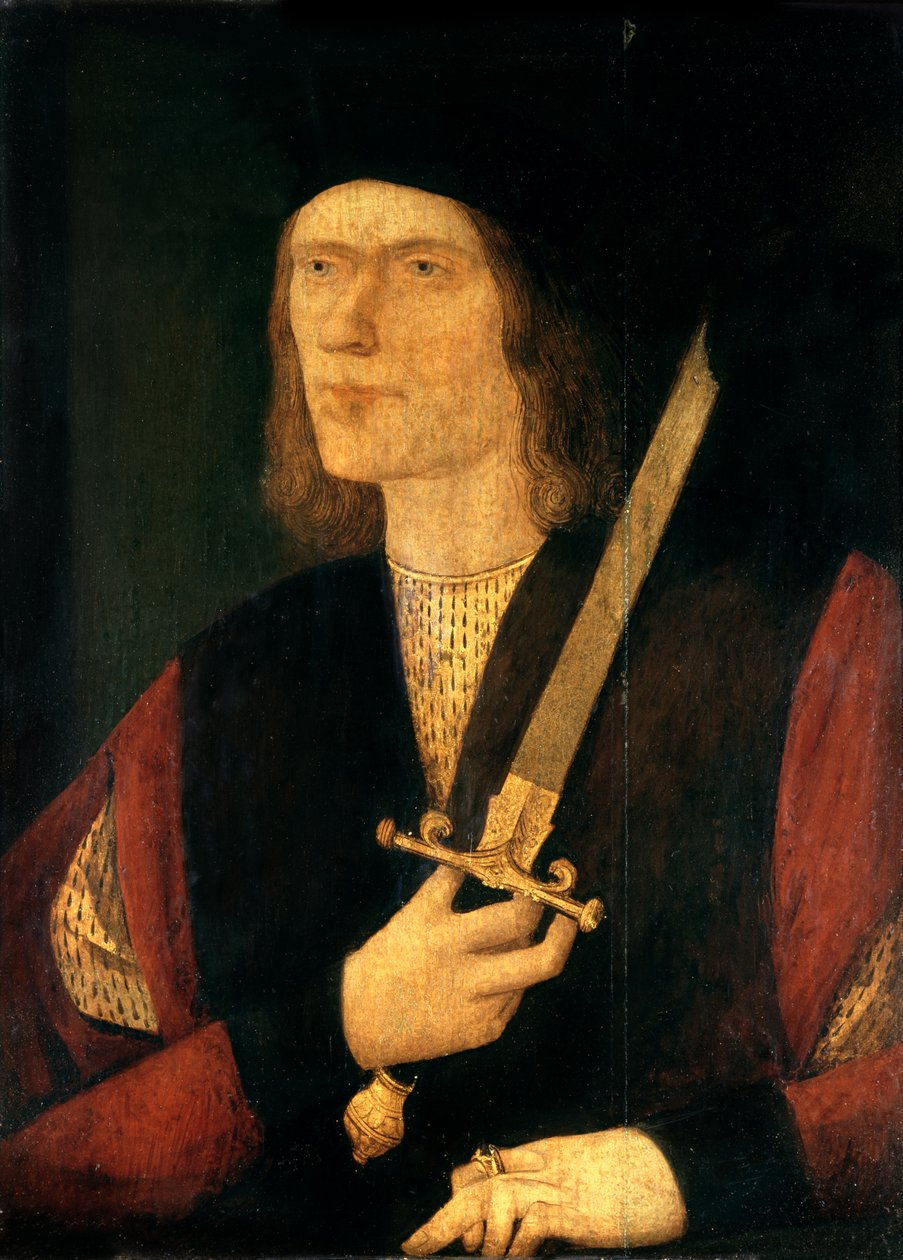Ricardo III (1452-85) (óleo sobre painel) de English School
