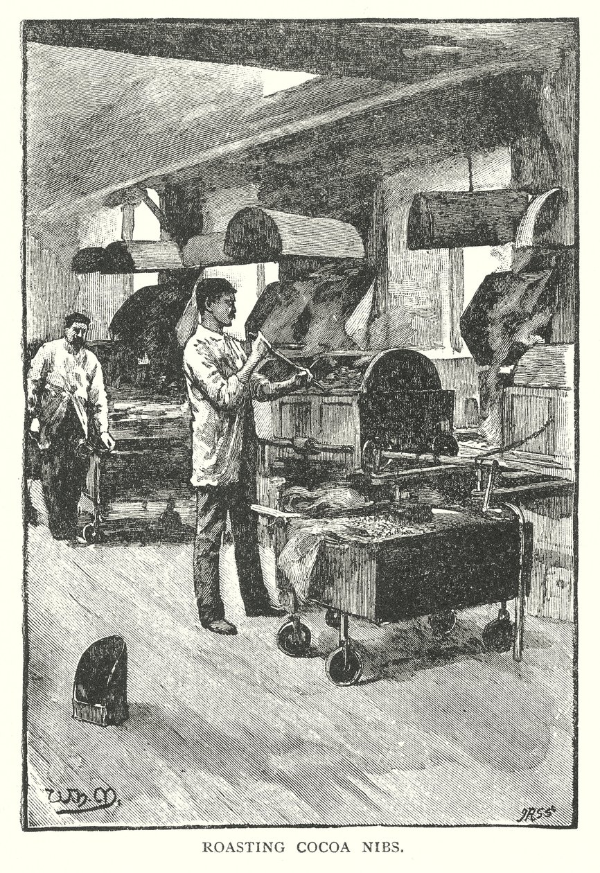 Torrefação de nibs de cacau (gravura) de English School
