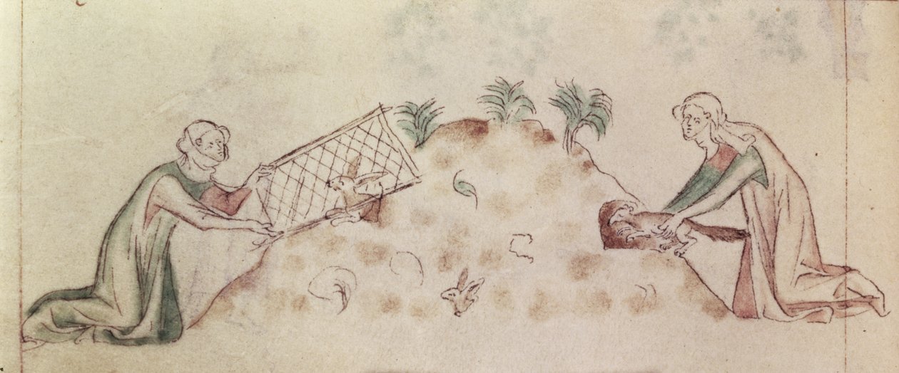 Roy 2 B VII f.155v Mulheres que apanham um coelho com uma rede e um furão, da 