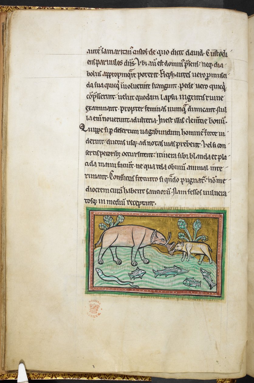 Real 12 F.XIII, f.13v Um elefante grande e um pequeno em um riacho cheio de peixes.  Bestiário (ff. 3-141), Lapidário (ff. 141v-149)  2º quartel do século XIII de English School