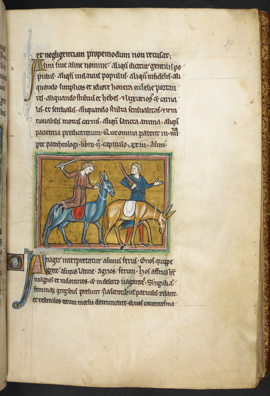 Real 12 F.XIII, f.39   Dois homens com dois homens com bundas. , de Bestiário (ff. 3-141), Lapidary (ff. 141v-149)  , 2º quartel do século 13 (velino) de English School