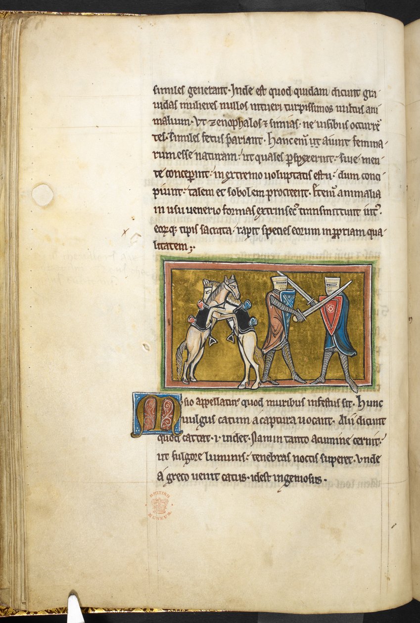 Real 12 F.XIII, f.42v Dois cavaleiros lutando a pé com espadas, enquanto seus cavalos lutam entre si nas patas traseiras. , de Bestiário (ff. 3-141), Lapidary (ff. 141v-149)  , 2º quartel do século 13 (velino) de English School