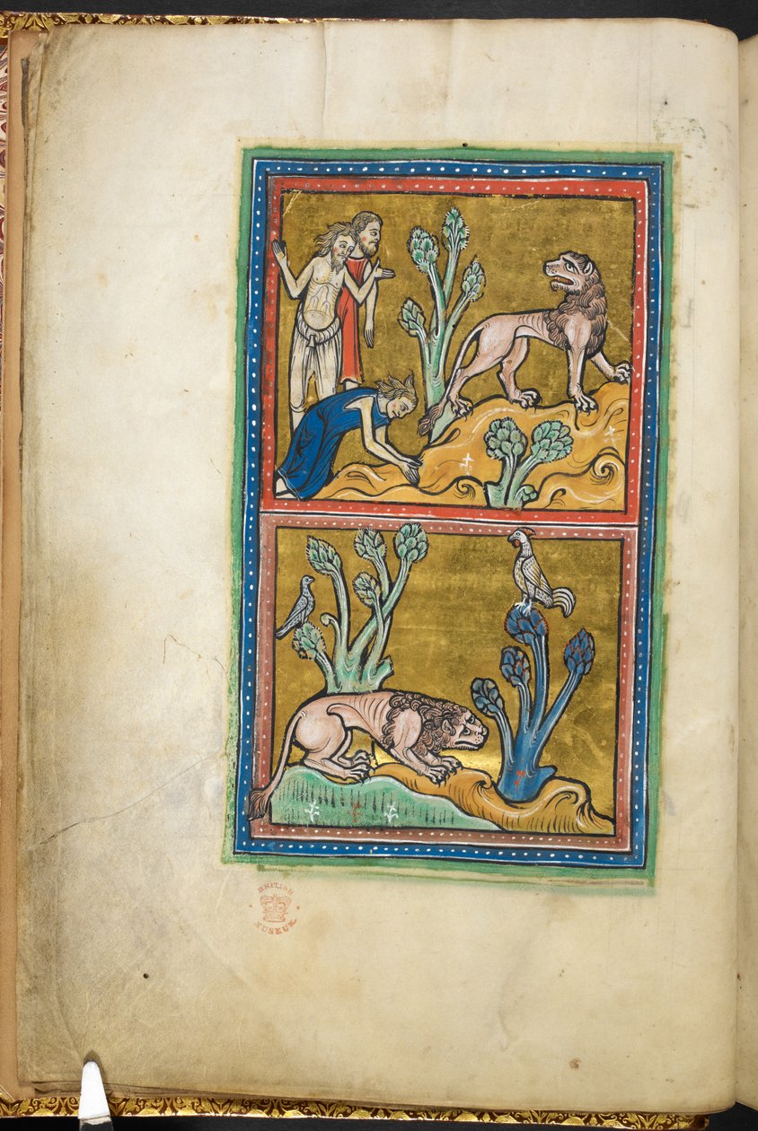 Royal 12 F.XIII, f.5v Em cima: três homens, com um deles curvado a um leão; em baixo: um leão agachado ao pé de uma árvore, com um galo sentado em cima. 

de Bestiary (ff. 3-141), Lapidary (ff. 141v-149) 2º quartel do século XIII de English School