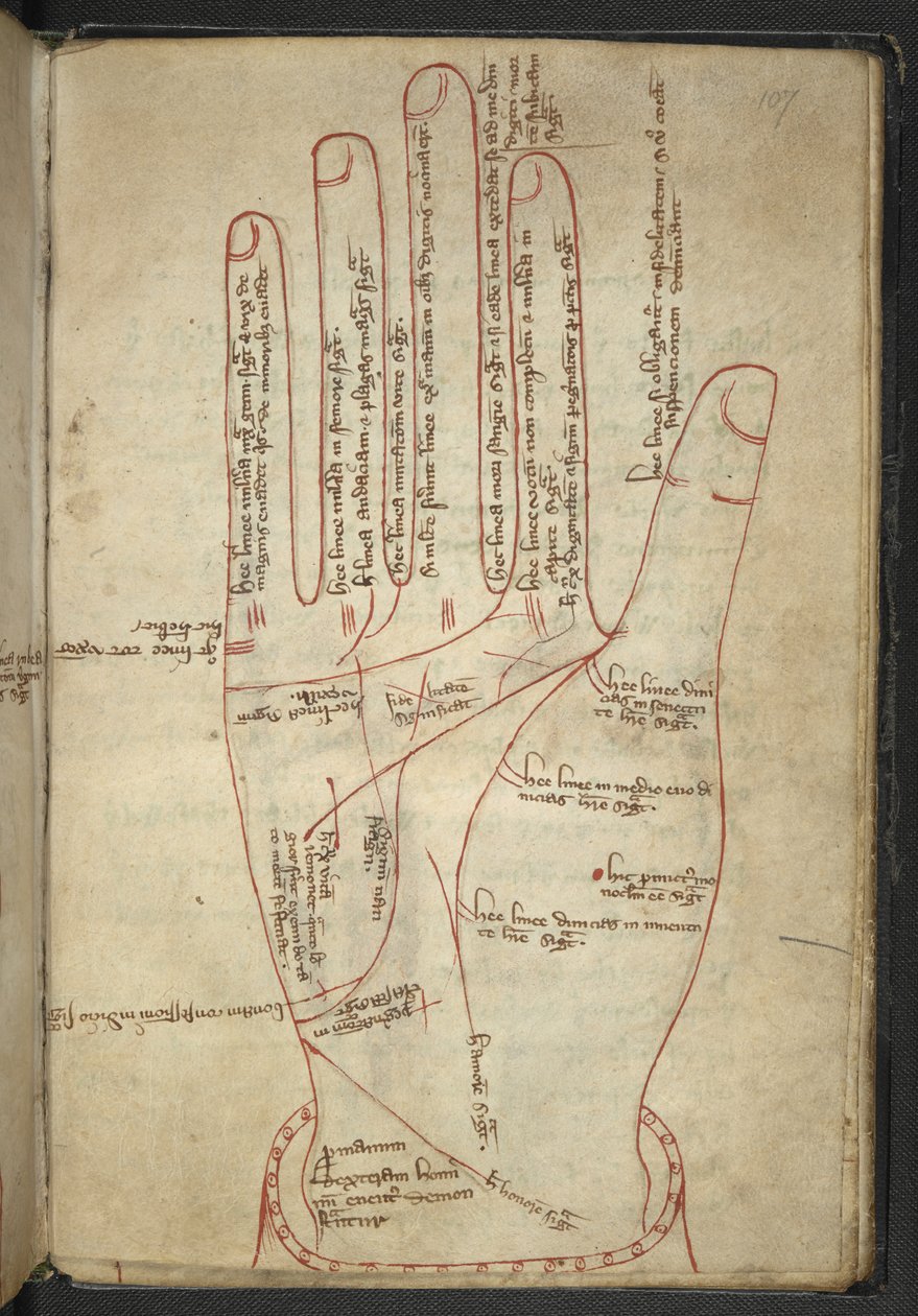 Royal MS 12 C XII f.107r Ler as mãos, numa miscelânea medieval (tinta sobre gelatina) de English School