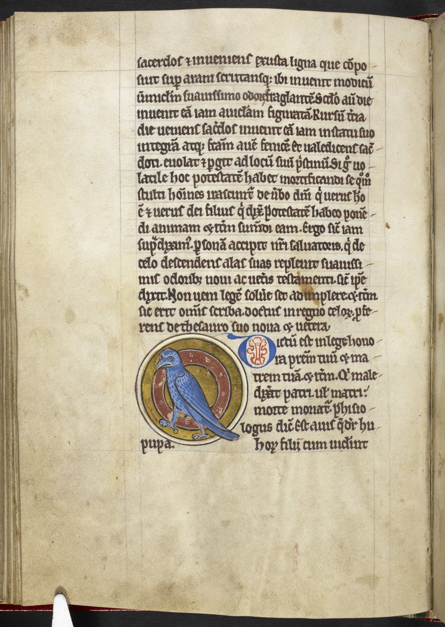 Royal MS 12 C XIX f.50v, Hoopoe, de 