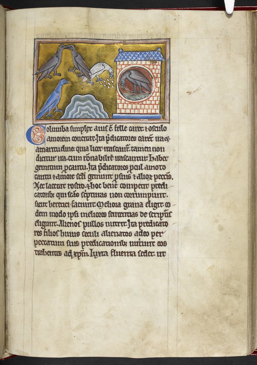 Royal MS 12 C XIX f.54r Pombas, do 
