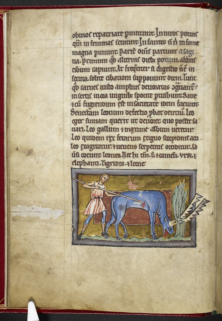 Royal MS 12 C XIX, f.7v Antelope, de 