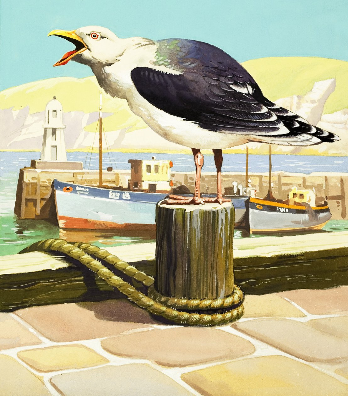 Gaivota, ilustração de "Era uma vez de English School