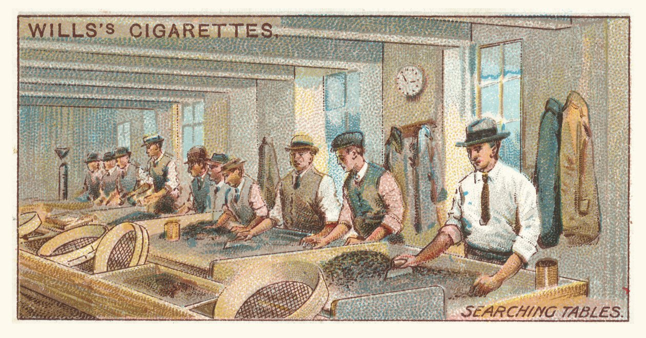 Quadros de pesquisa (cromolitografia) de English School