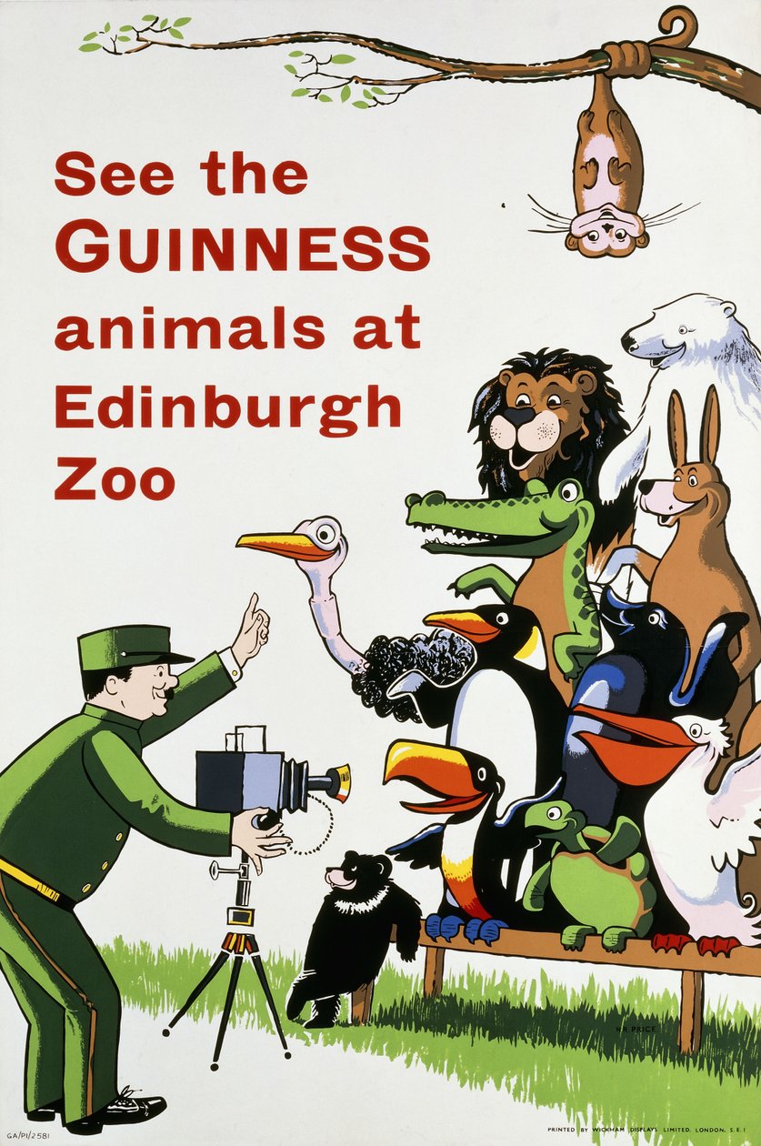 Veja os animais Guinness no Jardim Zoológico de Edimburgo, c.1938 (litografia em cores) de English School