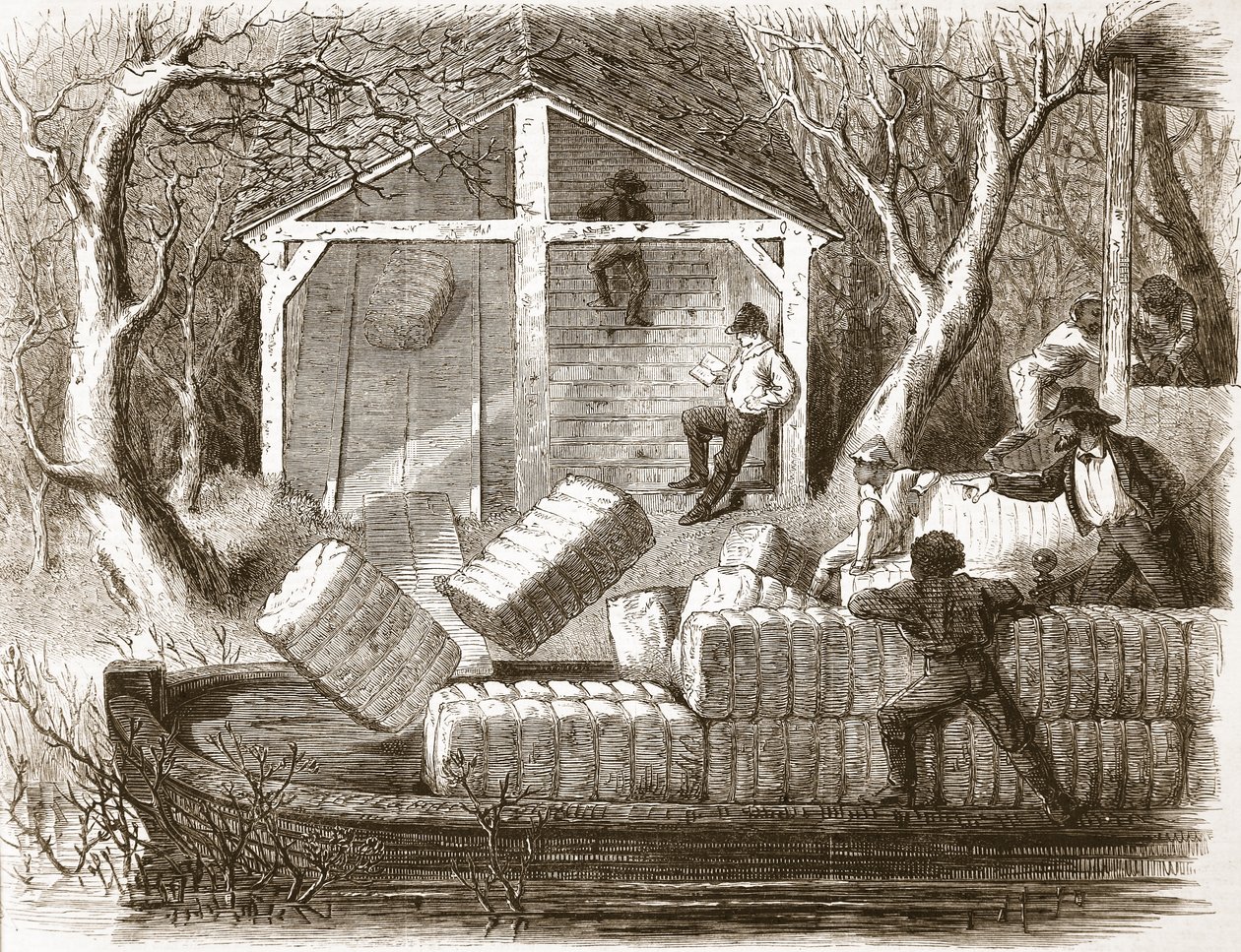 Atirando em Cottin-fardos na parte dianteira do navio a vapor Magnolia, ilustração de The Illustrated London News, 1861 de English School