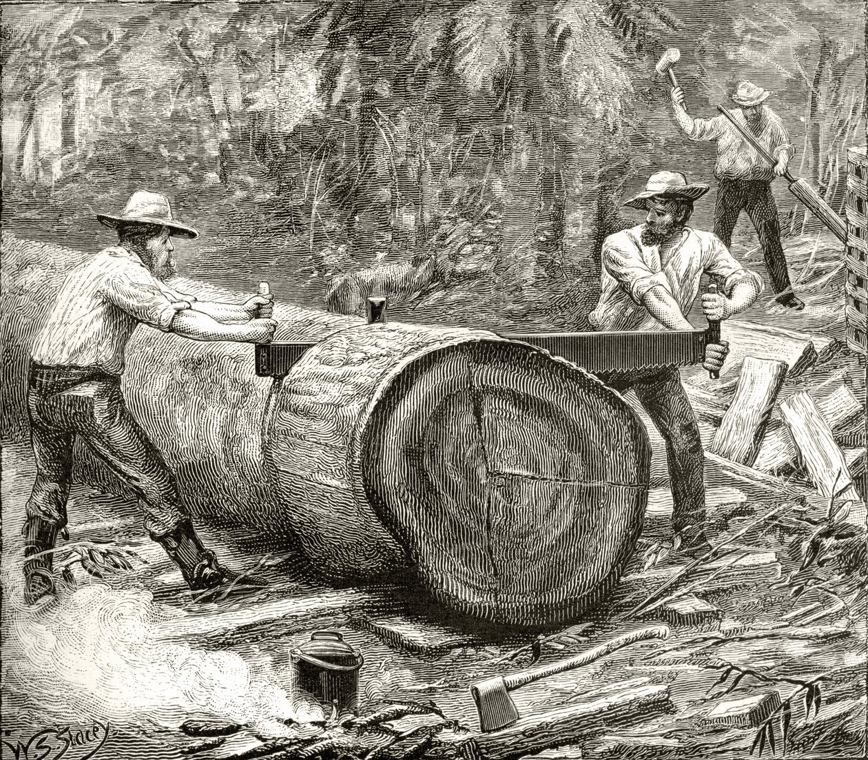 Splitters in the Bush, c.1880, de &39;Australian Pictures&39;, de Howard Willoughby, publicado pela Religious Tract Society, Londres, 1886 de English School