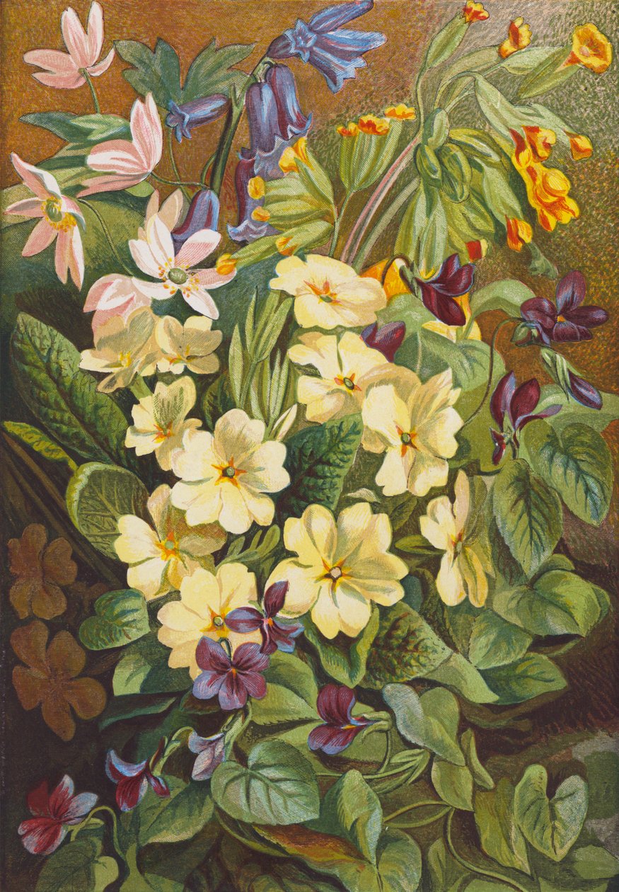 Flores da primavera (litografia a cores) de English School