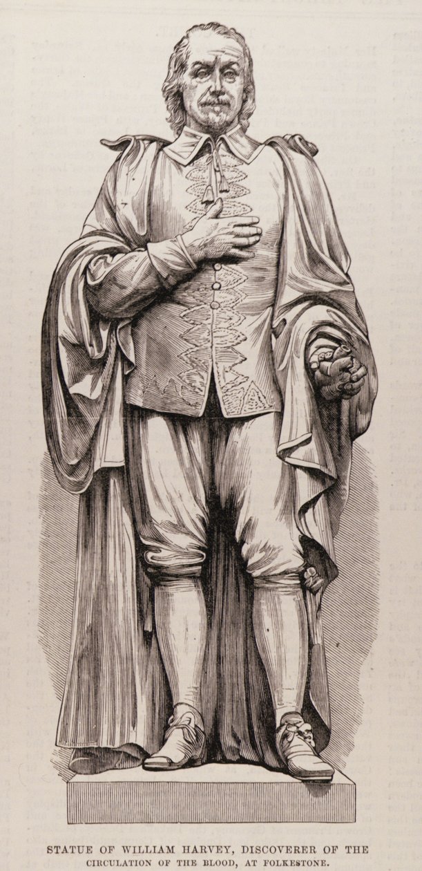 Estátua de William Harvey (1578-1657), Descobridor da Circulação do Sangue, em Folkestone, de The Illustrated London News, 13 de agosto de 1881 de English School