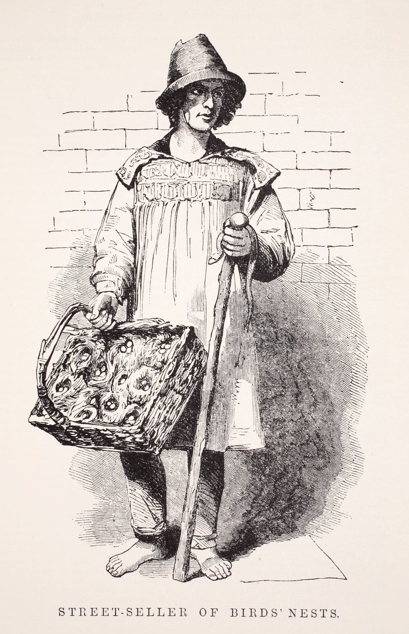 Vendedor ambulante dos ninhos dos pássaros, ilustração do trabalho de Londres e pobre de Londres por Henry Mayhew, bar. 1862 de English School
