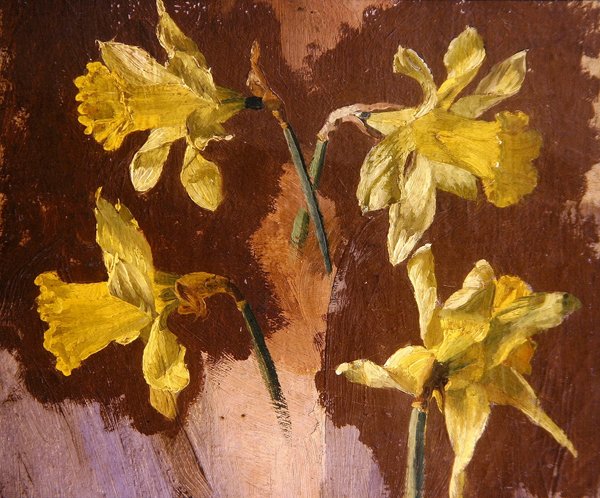 Estudo dos narcisos, c.1830 (óleo sobre papel) de English School