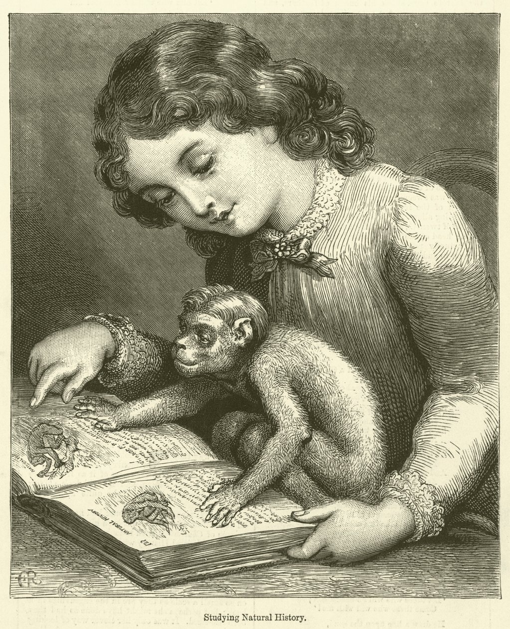 Estudante de História Natural (gravura) de English School