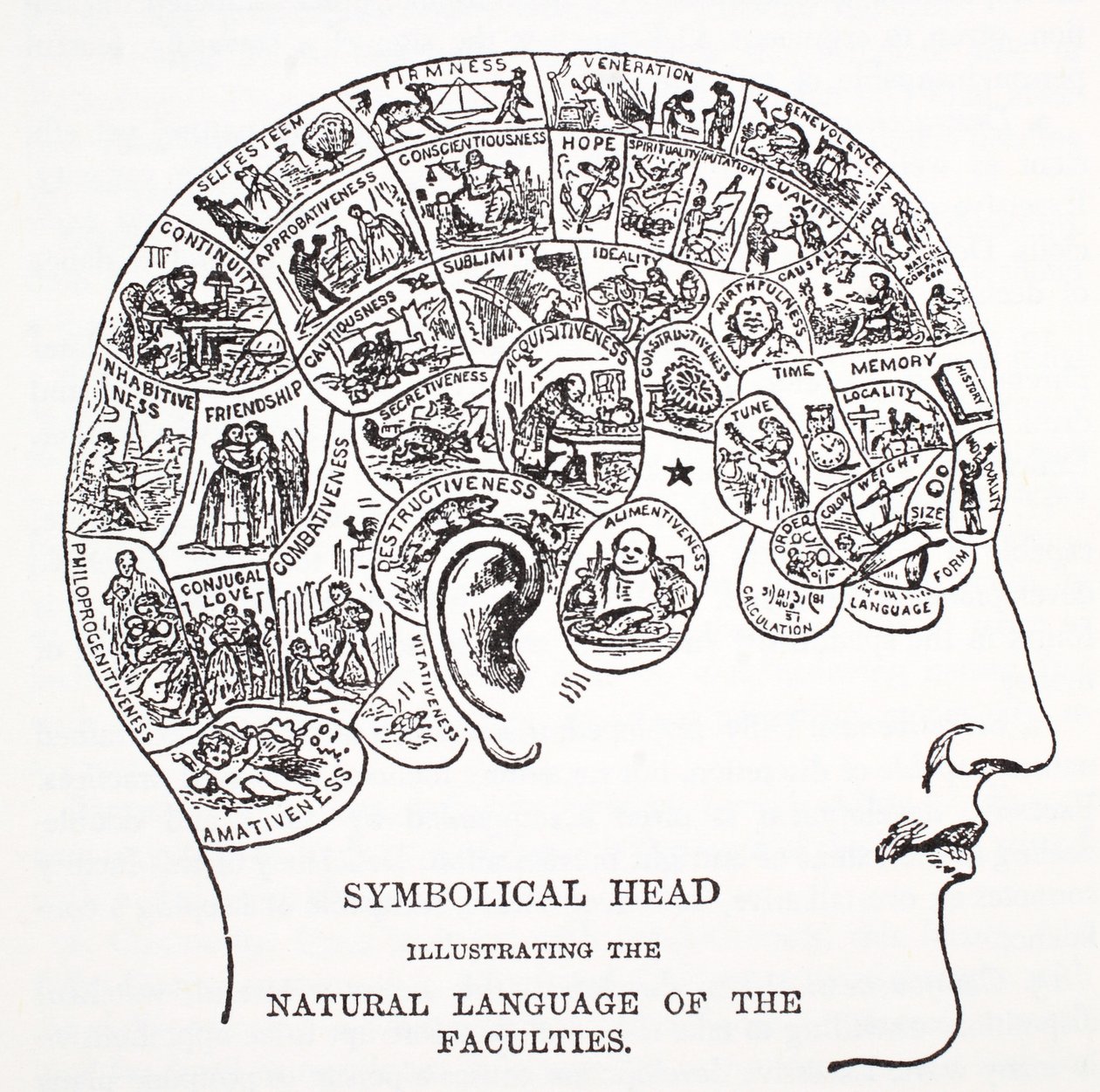 Cabeça simbólica mostrando a linguagem natural das faculdades de English School