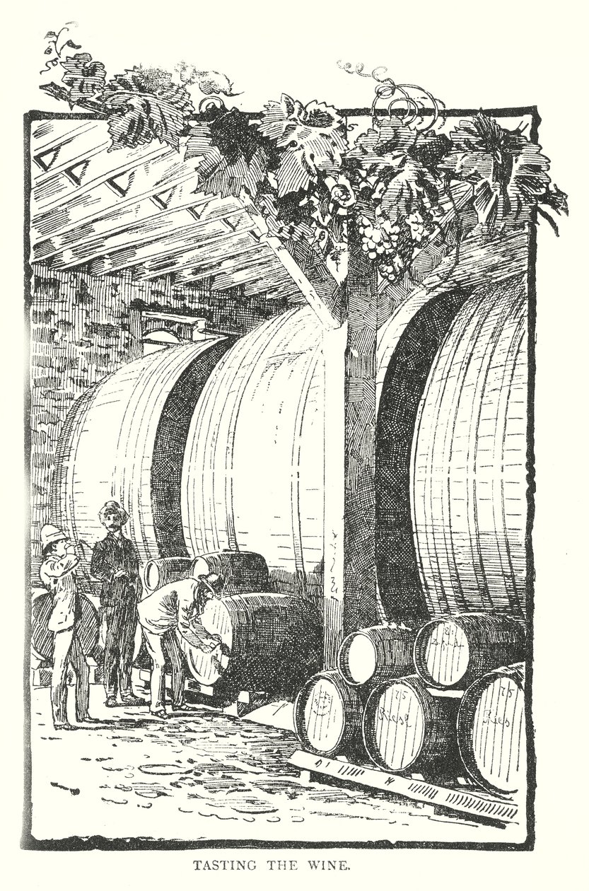 Provar o vinho (gravura) de English School
