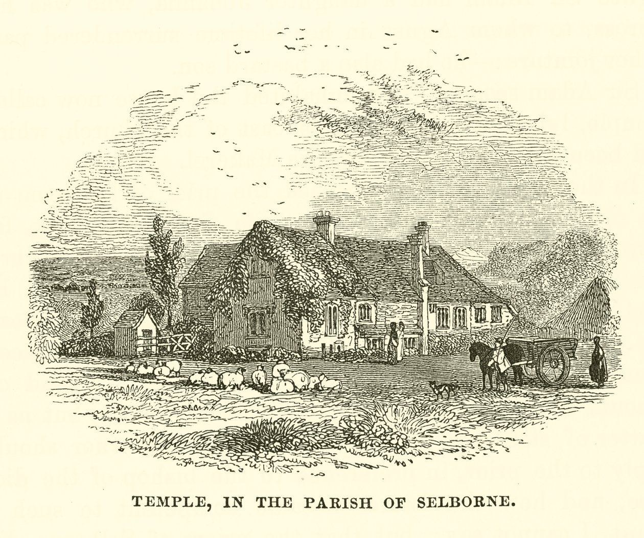 Templo, na paróquia de Selborne (gravura) de English School